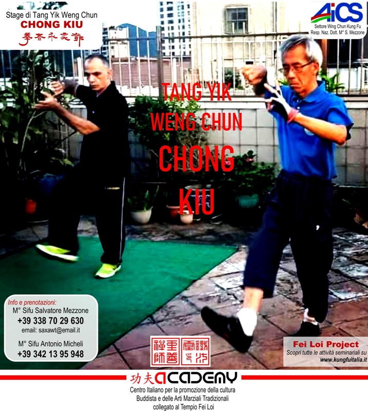 Tang Yik CHONG KIU by GM Michael Tang  Fei Loi Project Kung Fu seminars Arti marziali cinesi Cina Italia wing chun Ip Man, weng chun Tang Yik, Chi Kung